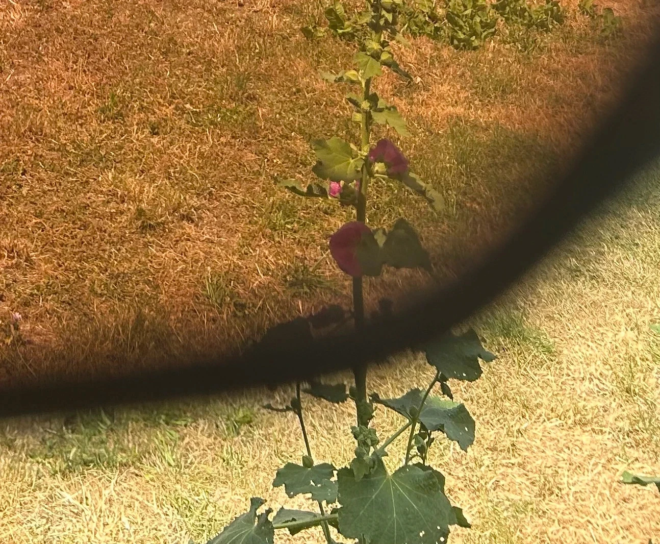 Lunettes de soleil CAT.3 – photo 10